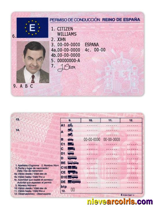 Spain driving license